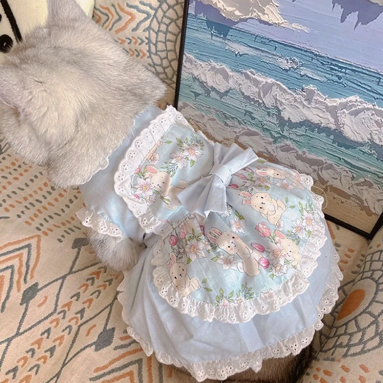 Lace Teddy Lingerie - Pet Cute Avental Dress Lace Floral