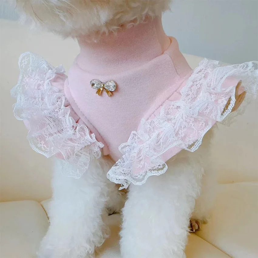 Roupas para animais de estimaç - Lace Teddy Lingerie avaliação e preço