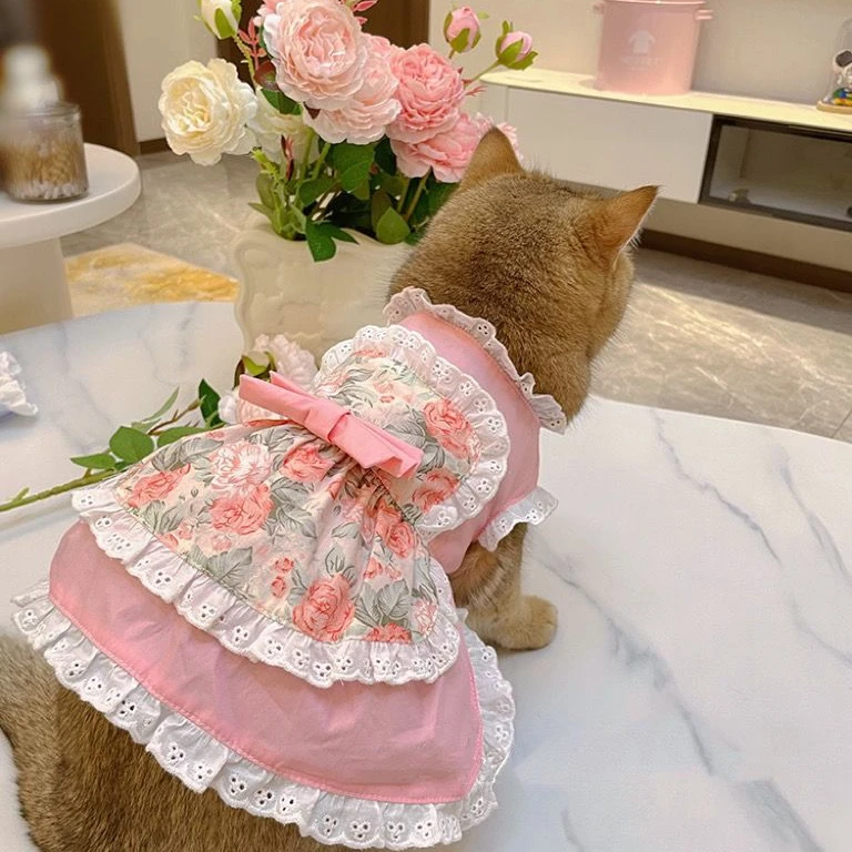 Pet Cute Avental Dress Lace Fl - Lace Teddy Lingerie avaliação e preço
